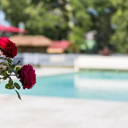 Safranerio Vakantiehuis *